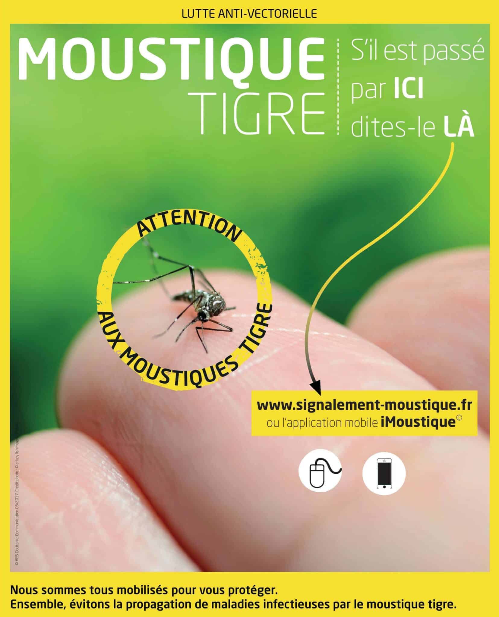 Aidez La Surveillance Du Moustique Tigre Mairie De Couzeix aidez-la-surveillance-du-moustique-tigre-mairie-de-couzeix