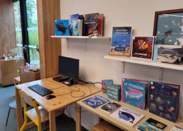 550488253_804176952569984_8707590884559793970_n